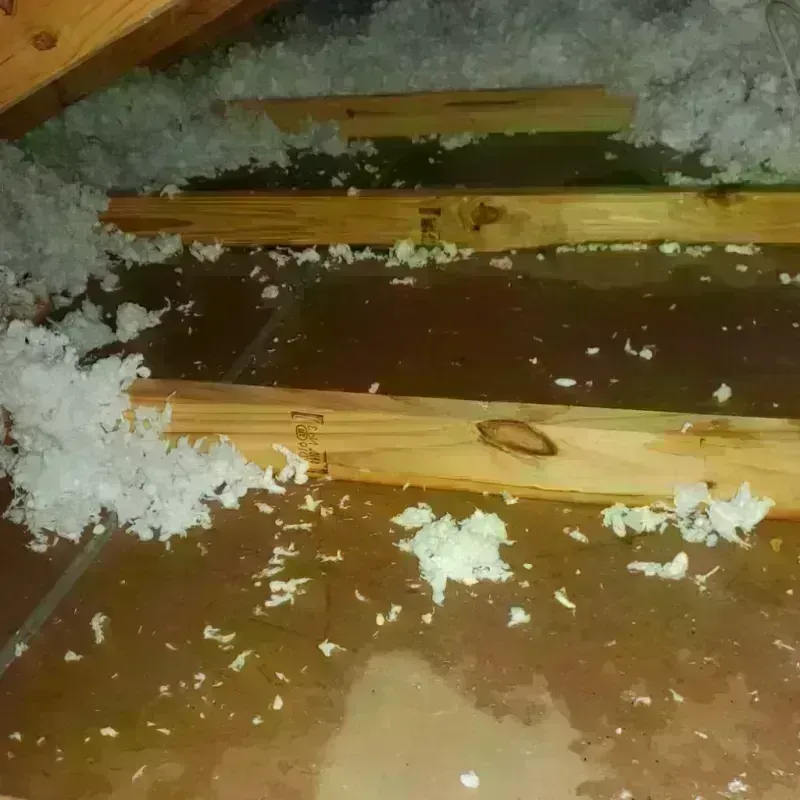 Attic Water Damage in Parkston, SD